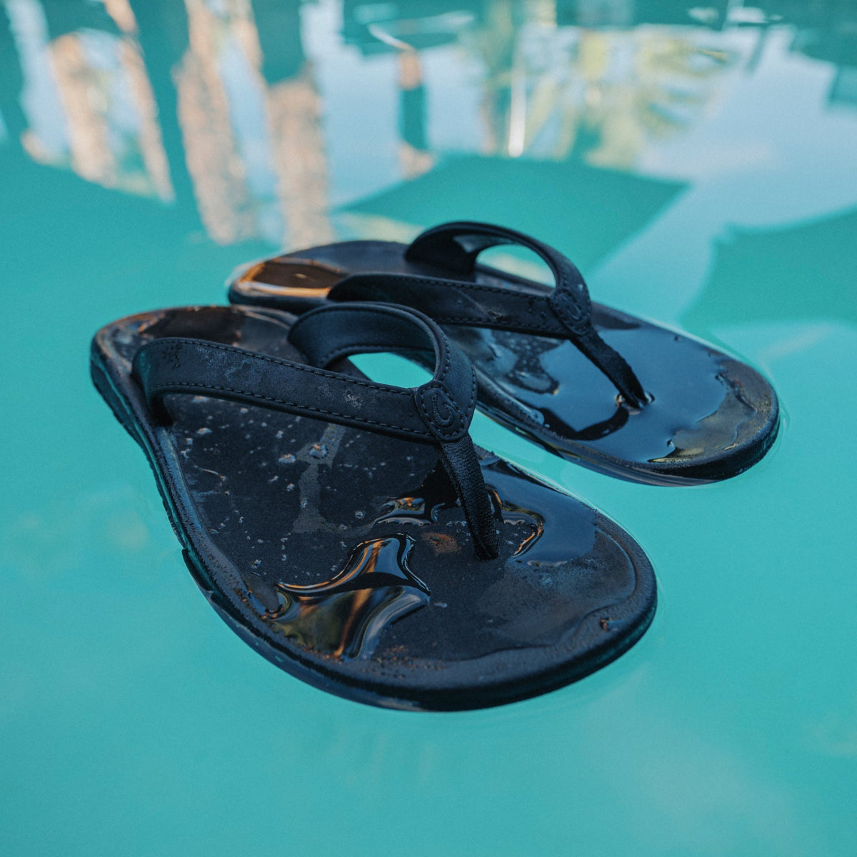 ʻOhana Lahi  –  Black / Black