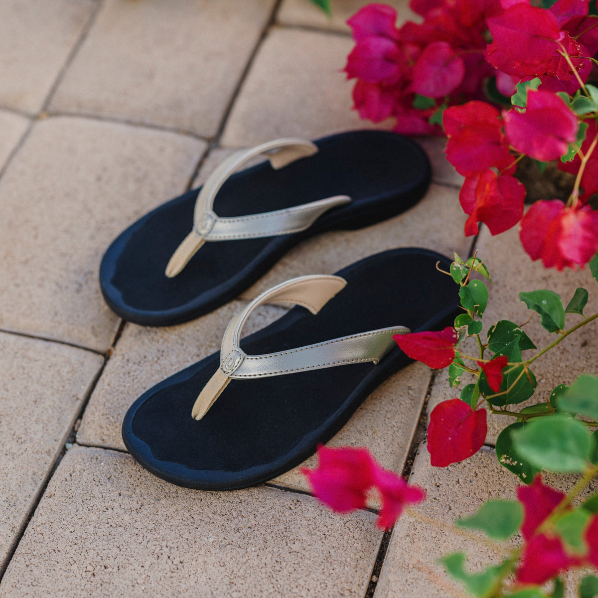ʻOhana Lahi –  Gold / Black