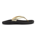 ʻOhana Lahi –  Gold / Black