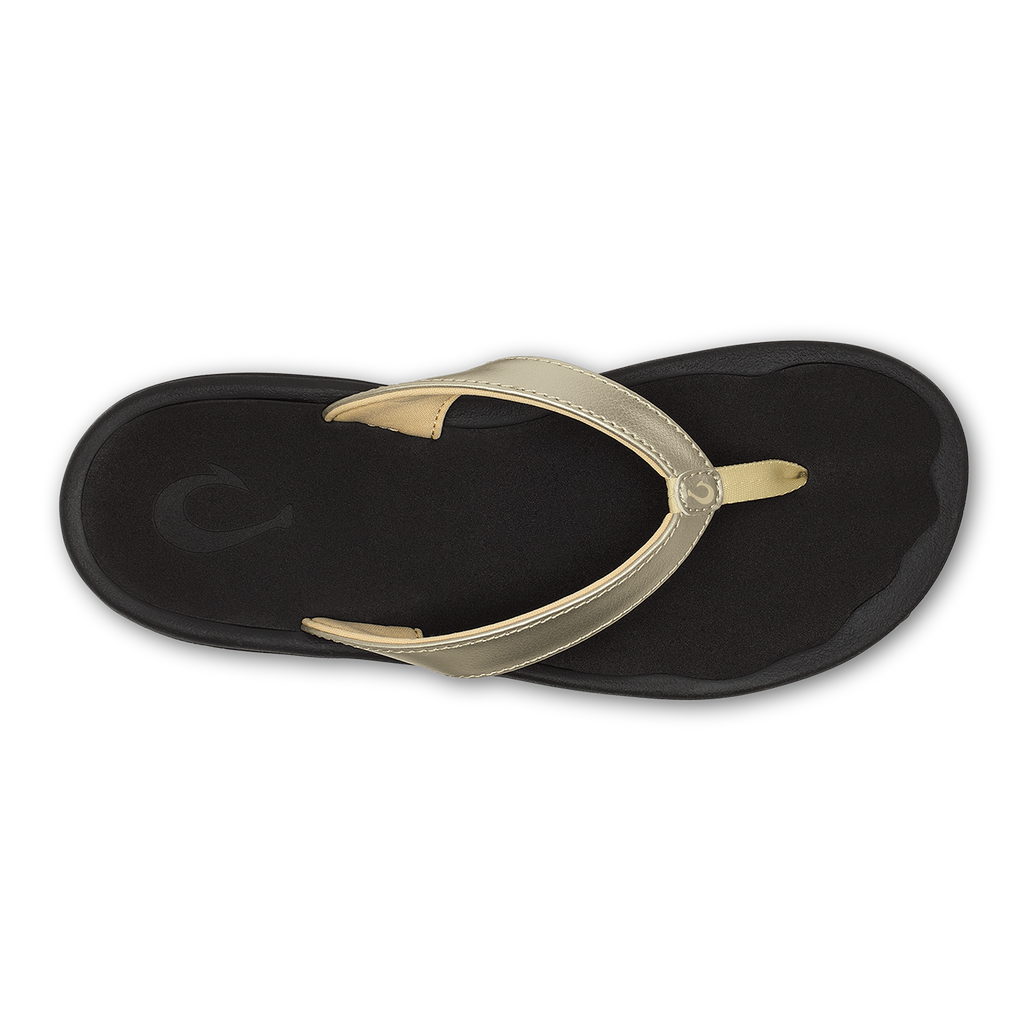 ʻOhana Lahi –  Gold / Black